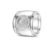 RW 007F + RW 005 Siders Goud foto 1