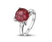 RWS 002 Zilver foto 1