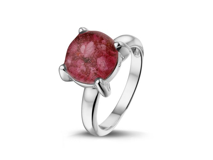 RWS 002 Zilver foto 1