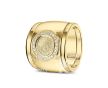 RY 007F + RY 005 Siders Goud foto 1