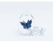 Stillabunt Cavas - Vlinder Blauw foto 1