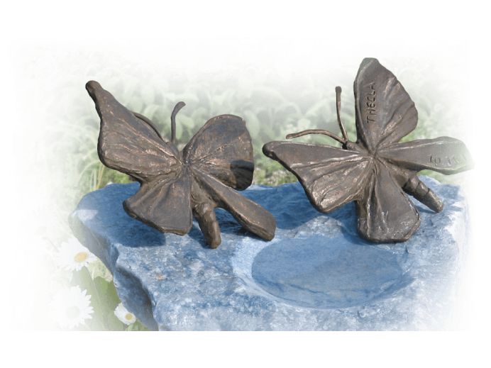 urnengraf-in-eigen-tuin-bronzen-vlinders-op-zwerfkei-azult.png foto 1