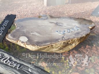 Versteend hout als grafmonument