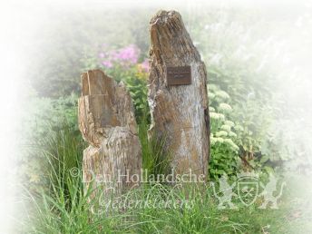 Versteend hout als grafmonument