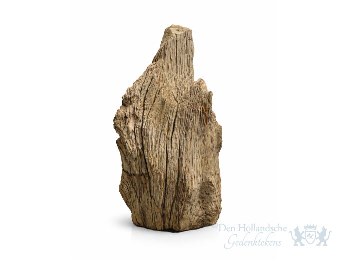 Versteend hout fossiel foto 1