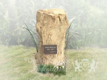 Versteend hout grafmonument