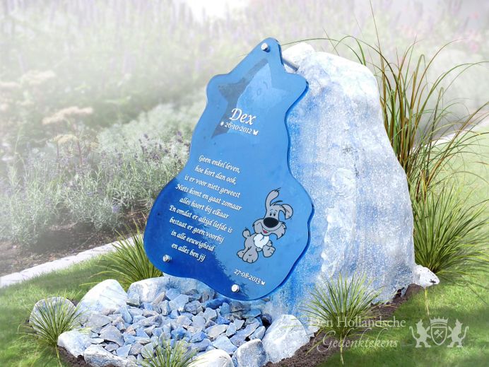 Zeeblauw natuurlijk kindermonument met glas foto 1