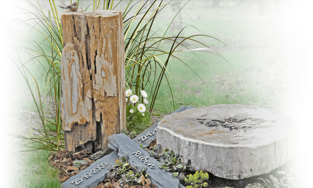 urnengraf hout versteend hout boomstam