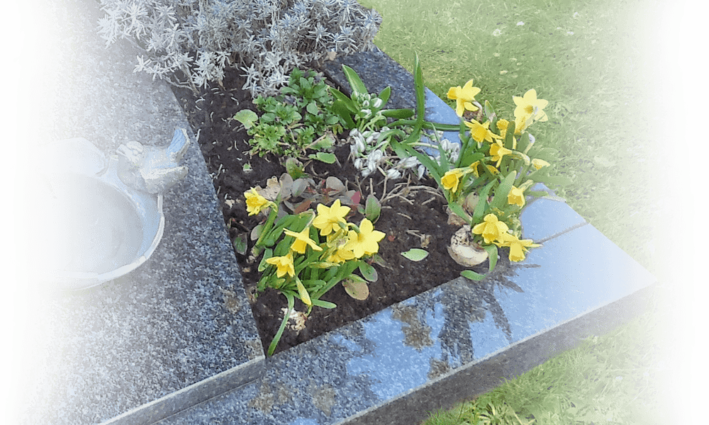 grafbeplanting urnengraf uitsparing in dekplaat