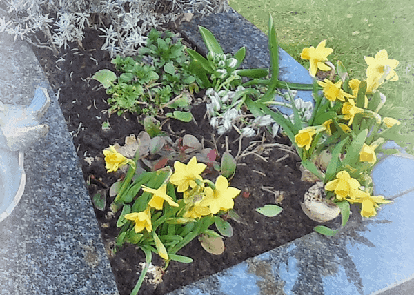 urnengraven urnenmonumenten grafbeplanting