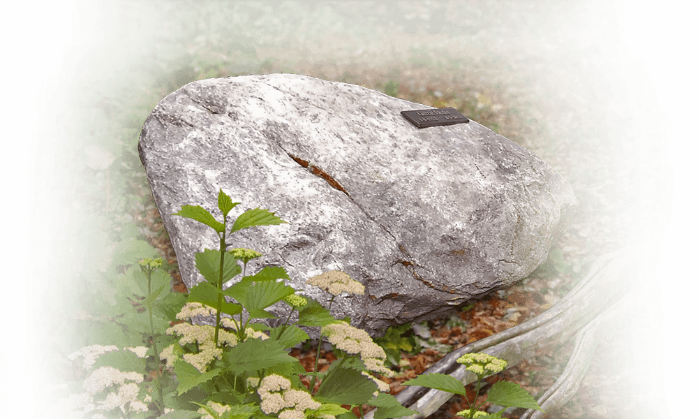 grafsteen natuurbegraafplaats zwerfkei als grafmonument