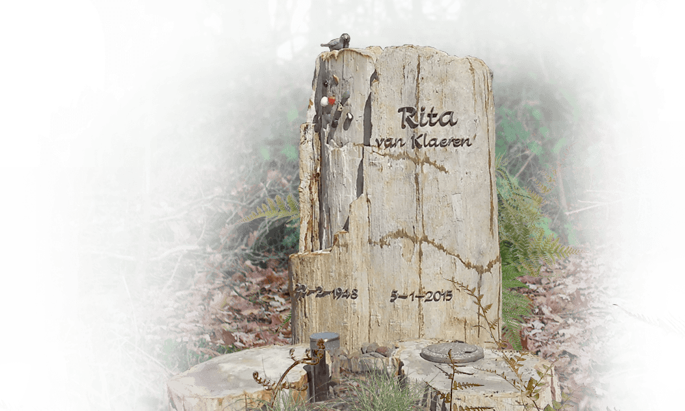 grafsteen natuurbegraafplaats versteend hout met bronzen belettering
